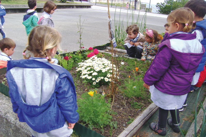 CEIP Emilia Pardo Bazán