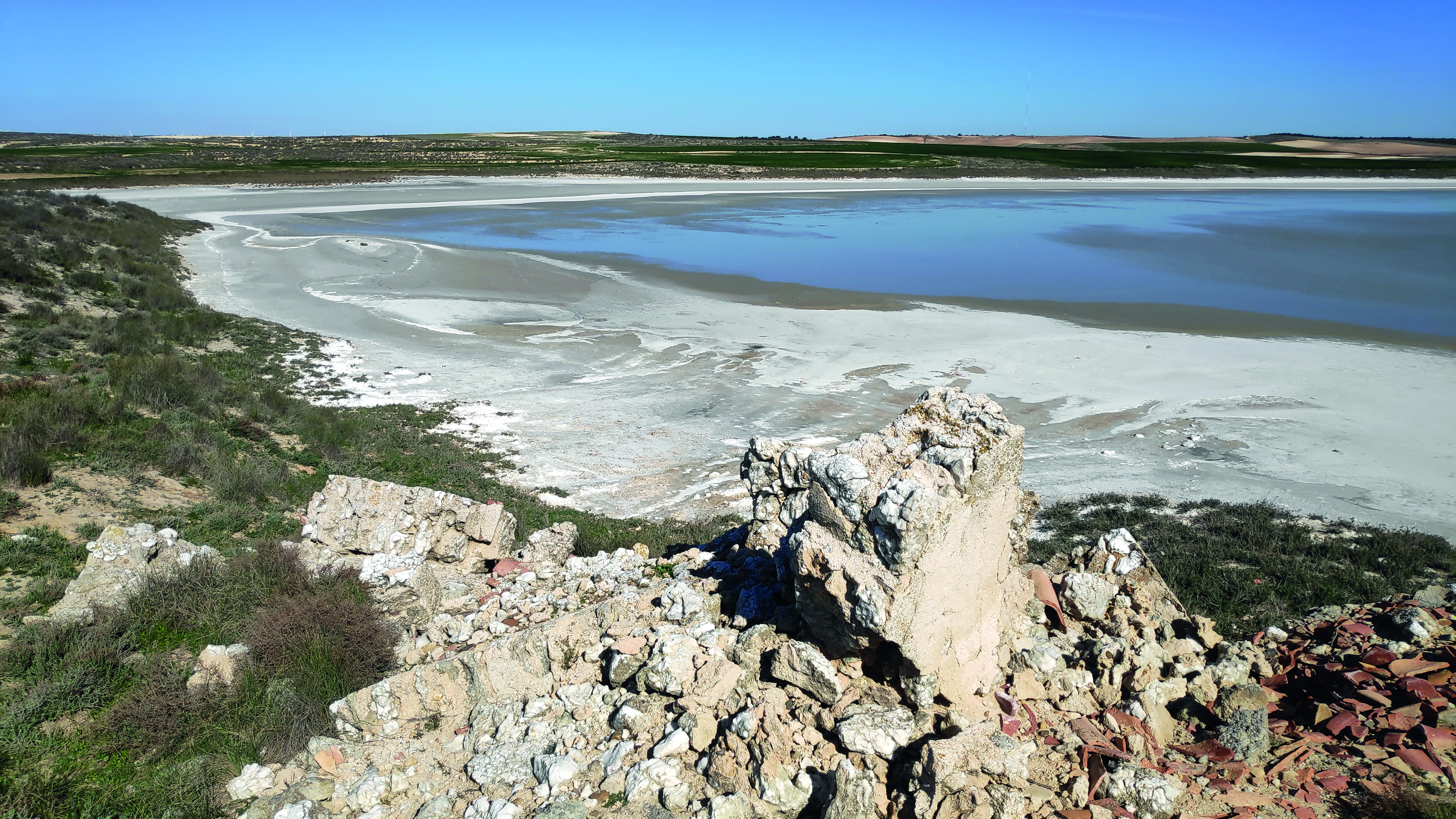 La laguna salada La Sulfúrica de Mediana (Zaragoza). Foto de Ángel Luis Cortes