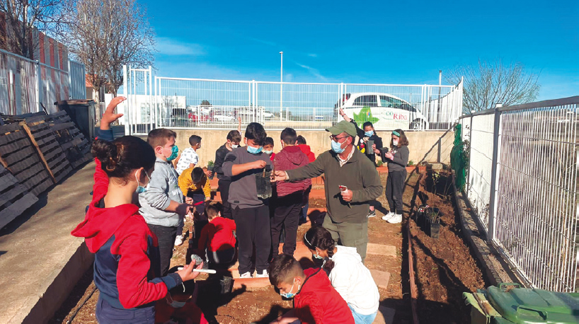 Viverismo en el CEIP Camp de Túria