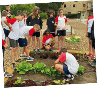 La creación de un huerto ecológico con la ayuda de las familias ha sido uno de los proyectos más alentadores