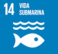 Logo del ODS 13 