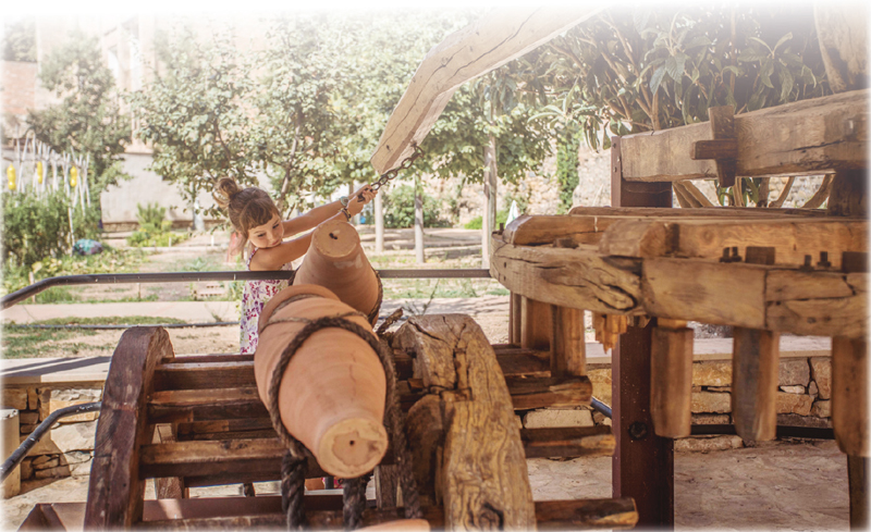 La curiositat és la palanca de l’aprenentatge.<br/>Museu de la Vida Rural. Sínia