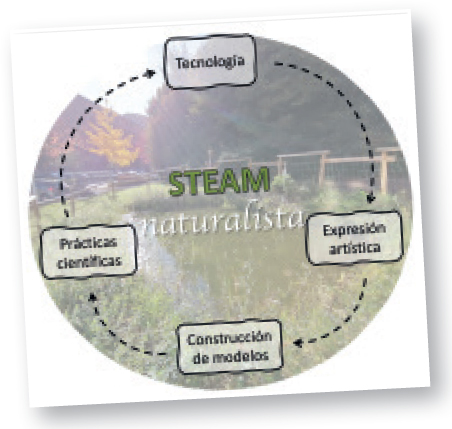 Imatge 1. Elements clau que es conjuguen en aquesta proposta naturalista de l’ensenyament STEAM, sobre una imatge del toll didàctic de la Facultat d’Educació de la UPV/ EHU a Donostia - Sant Sebastià