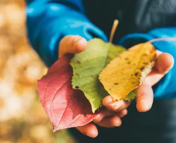 La integración sensorial como vía de acceso a nuevo conocimiento en los contextos educativos islandés y catalán