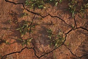 Activismo climático: ¿Cómo afecta el cambio climático a la disponibilidad de recursos como el agua y los alimentos?