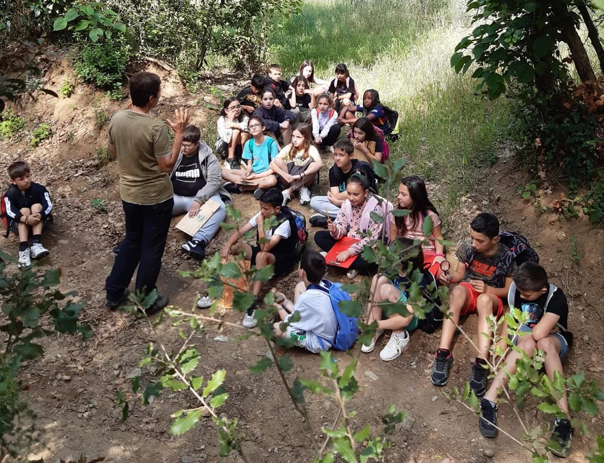 Menys Pokémon i més teixons: Explorant la biodiversitat amb càmeres de fotoparament