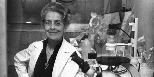 Rita Levi-Montalcini: «Mantén tu cerebro ilusionado y activo, hazlo funcionar y nunca degenerará»