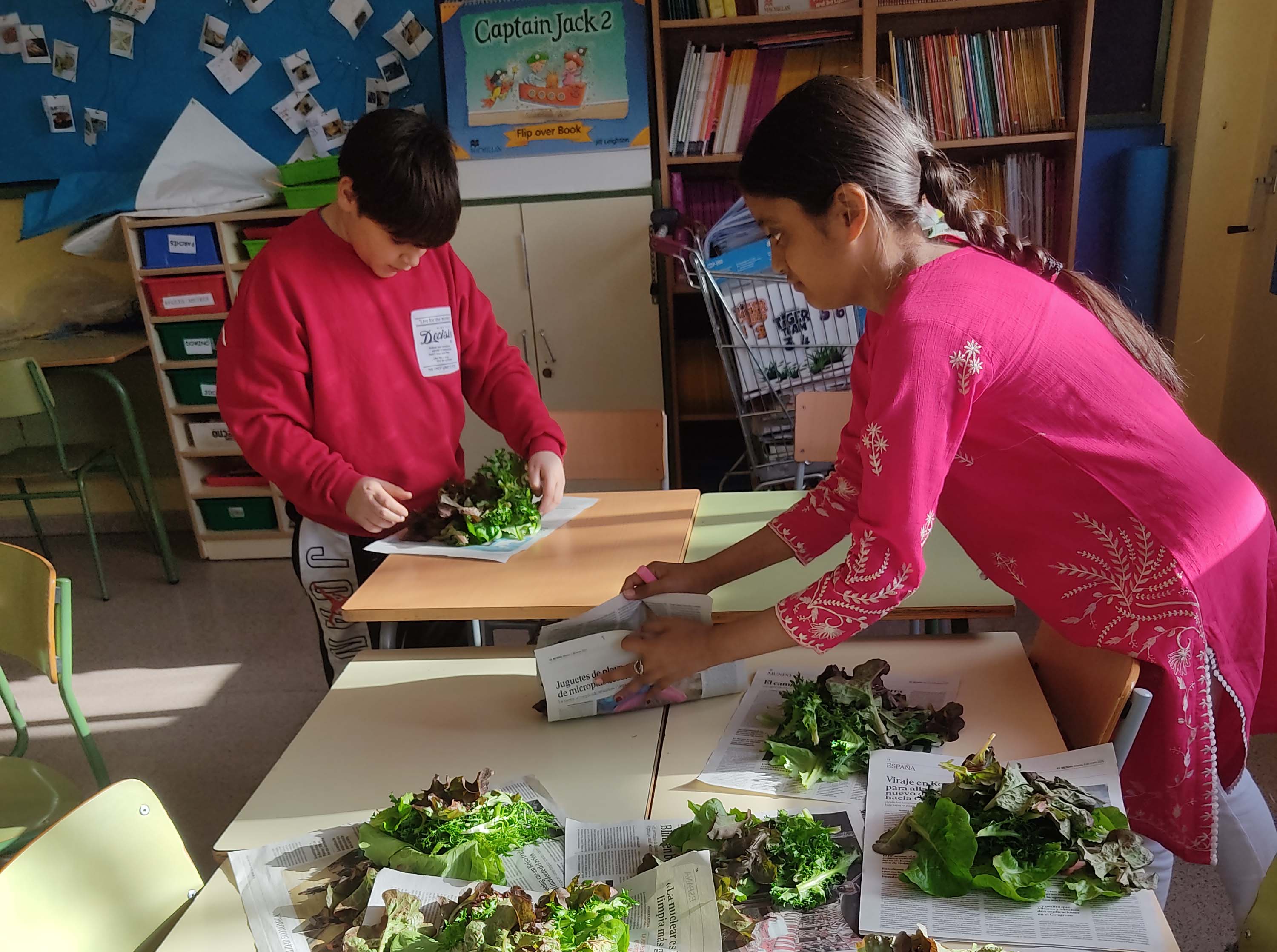 Damos vida a nuestro school garden